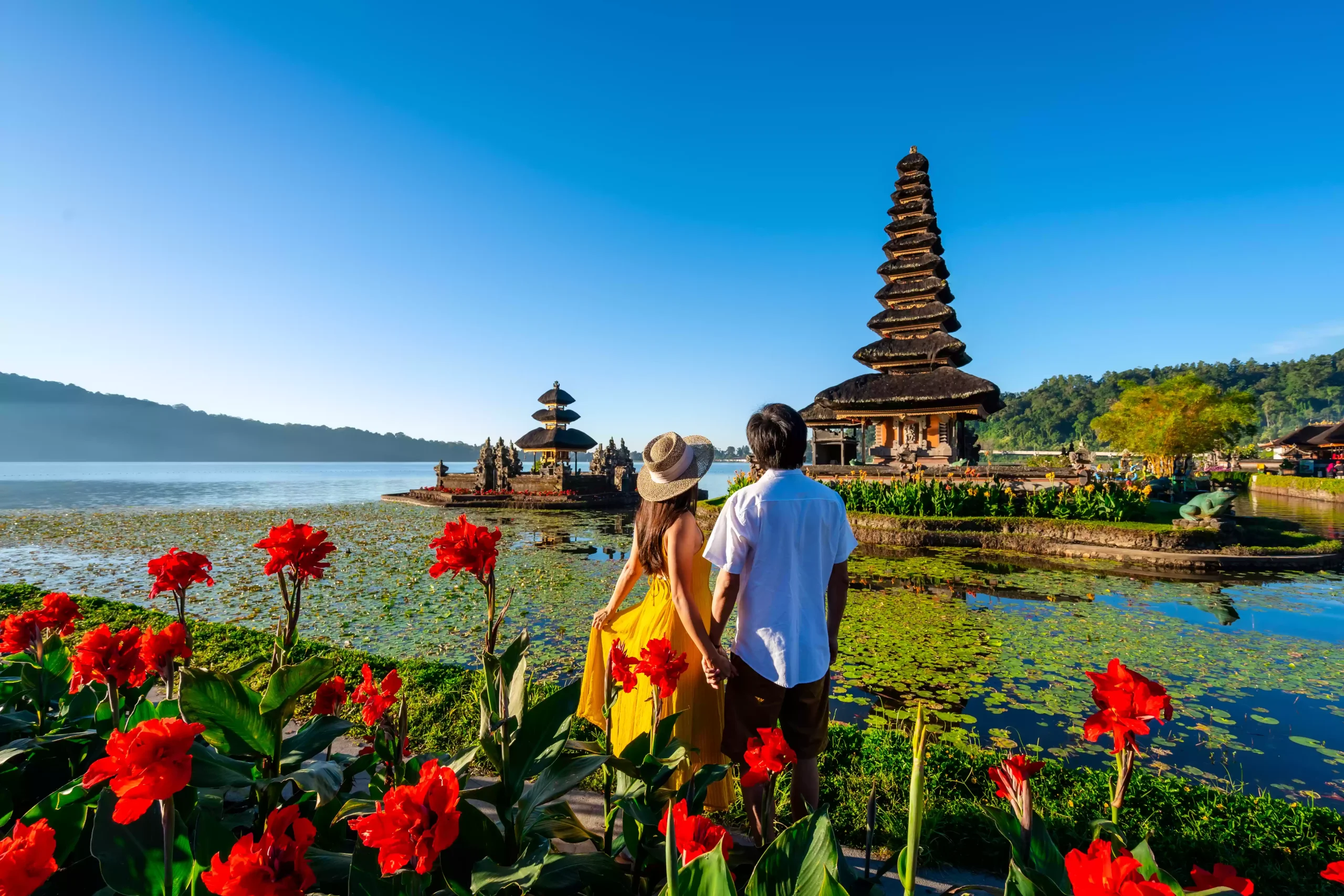 Scenic view of Bali’s rice terraces with tourists enjoying a guided cultural tour by Zaroo